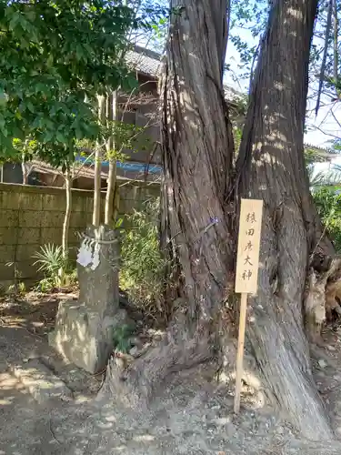 星宮神社(栃木県)