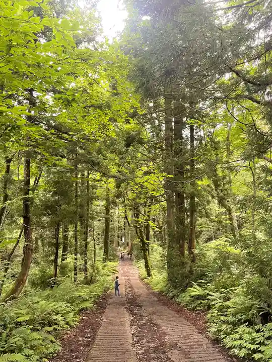 戸隠神社奥社(長野県)