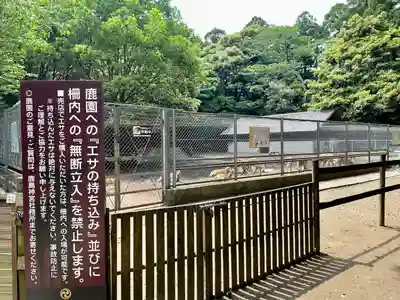 鹿島神宮(茨城県)