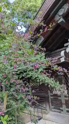 梨木神社(京都府)