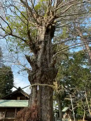 鞆江神社（明地）(愛知県)