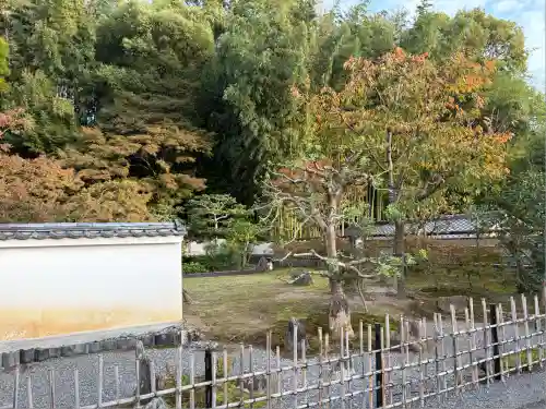 圓徳院(京都府)