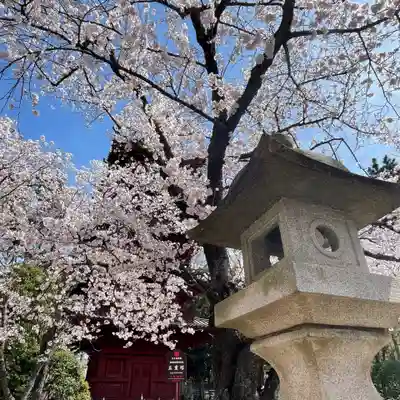 法華経寺(千葉県)