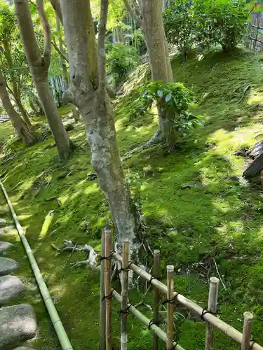 長壽寺（長寿寺）(神奈川県)