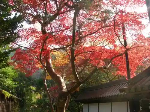 西明寺(京都府)