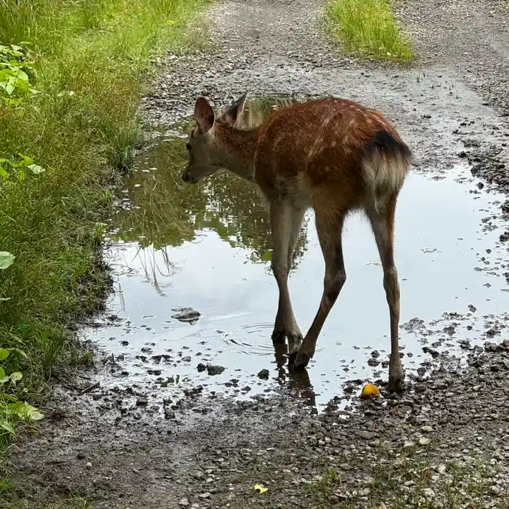 青岸渡寺(和歌山県)