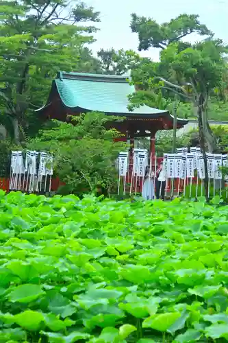 鶴岡八幡宮の末社・摂社