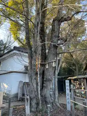 梨木神社(京都府)