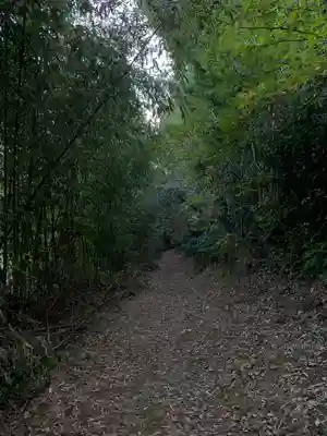 丸山神社の周辺