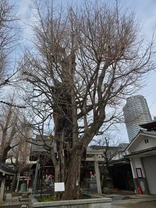 飛木稲荷神社(東京都)