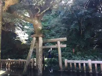 鹿島神宮の鳥居