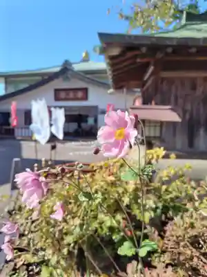 最上寺(北海道)