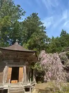 国上寺(新潟県)(2025年04月22日(火) 09時00分49秒投稿)