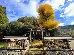 熊野神社(京都府)