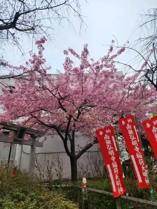 弘明寺の{uncategorized: "未分類", other: "その他", undefined: "問題あり", building: "その他建物", grave: "お墓", sacred_gate: "鳥居", guardian: "狛犬", statue: "像", buddha: "仏像", history: "歴史", nature: "自然", garden: "庭園", animal: "動物", pagoda: "塔", temizu: "手水舎", mountain_gate: "山門・神門", sanctuary: "本殿・本堂", subordinate: "末社・摂社", art: "芸術", scenery: "景色", jizo: "地蔵", ema: "絵馬", goshuin: "御朱印", omikuji: "おみくじ", items: "授与品その他", amulet: "お守り", goshuincho: "御朱印帳", eats: "食事", festival: "お祭り", votive_dance: "神楽", shichigosan: "七五三参", wedding: "結婚式", experience: "体験その他", initially: "初詣", around: "周辺", anti_infection: "感染症対策"}