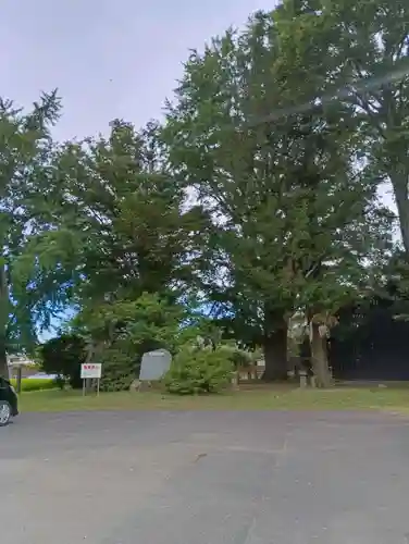 鹿島神社(茨城県)
