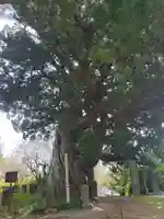 城願寺(神奈川県)