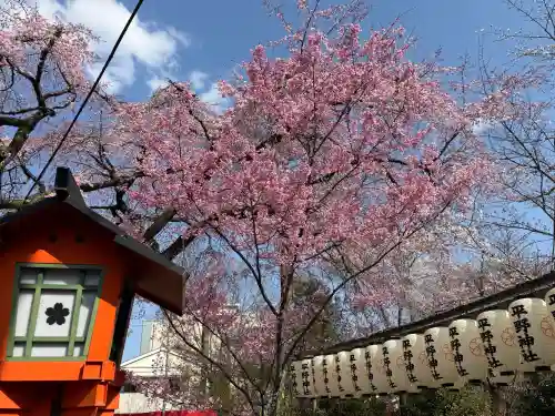 平野神社の{uncategorized: "未分類", other: "その他", undefined: "問題あり", building: "その他建物", grave: "お墓", sacred_gate: "鳥居", guardian: "狛犬", statue: "像", buddha: "仏像", history: "歴史", nature: "自然", garden: "庭園", animal: "動物", pagoda: "塔", temizu: "手水舎", mountain_gate: "山門・神門", sanctuary: "本殿・本堂", subordinate: "末社・摂社", art: "芸術", scenery: "景色", jizo: "地蔵", ema: "絵馬", goshuin: "御朱印", omikuji: "おみくじ", items: "授与品その他", amulet: "お守り", goshuincho: "御朱印帳", eats: "食事", festival: "お祭り", votive_dance: "神楽", shichigosan: "七五三参", wedding: "結婚式", experience: "体験その他", initially: "初詣", around: "周辺", anti_infection: "感染症対策"}
