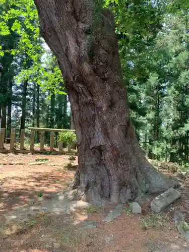 田村神社(福島県)