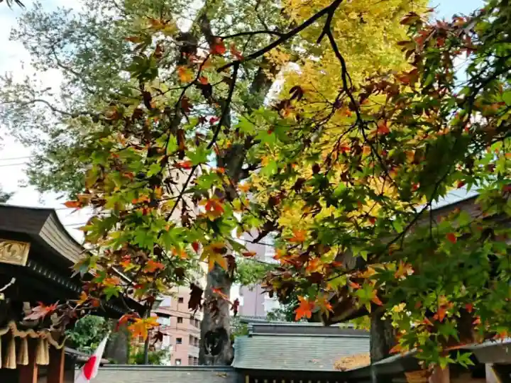 鳩ヶ谷氷川神社のその他建物