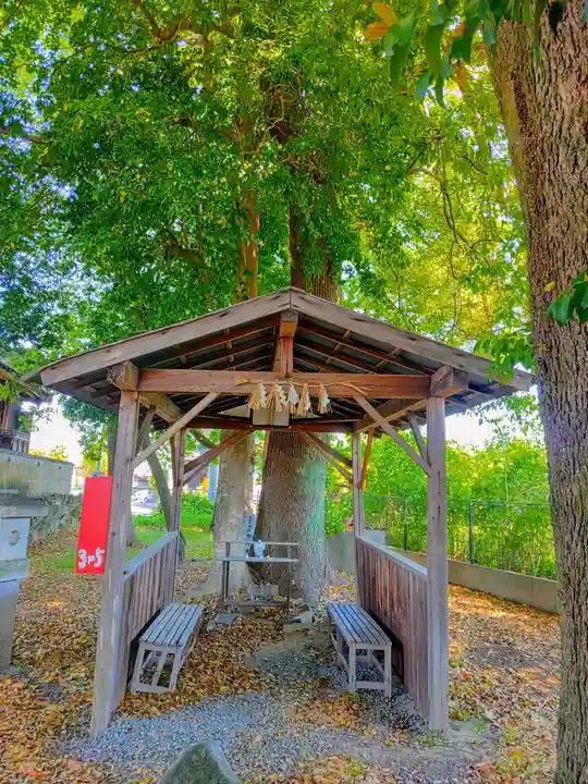 天宮神社(東野町)の本殿・本堂