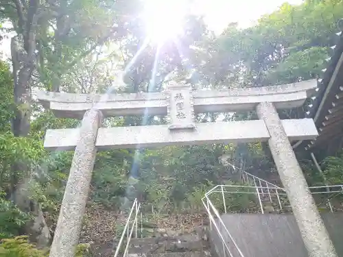 法輪寺の鳥居