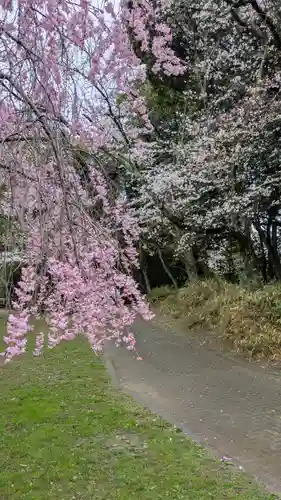 檜山神社（建部大社境外末社）(滋賀県)