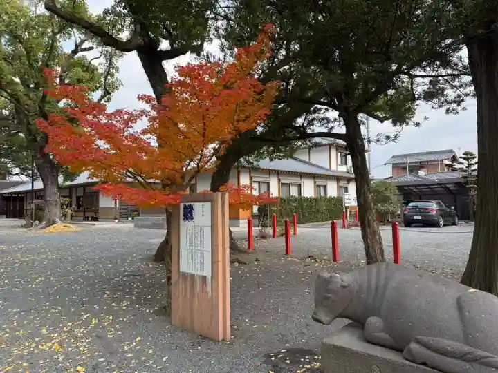 美奈宜神社(福岡県)