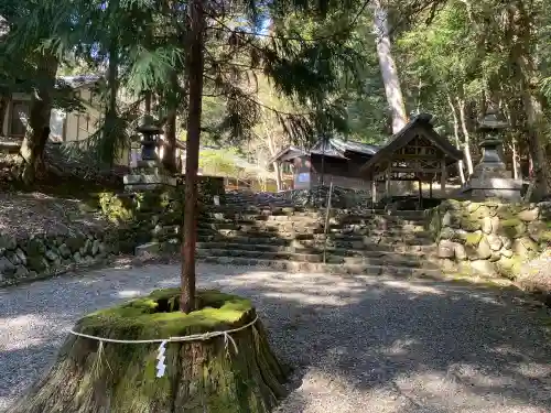 元伊勢内宮 皇大神社の{uncategorized: "未分類", other: "その他", undefined: "問題あり", building: "その他建物", grave: "お墓", sacred_gate: "鳥居", guardian: "狛犬", statue: "像", buddha: "仏像", history: "歴史", nature: "自然", garden: "庭園", animal: "動物", pagoda: "塔", temizu: "手水舎", mountain_gate: "山門・神門", sanctuary: "本殿・本堂", subordinate: "末社・摂社", art: "芸術", scenery: "景色", jizo: "地蔵", ema: "絵馬", goshuin: "御朱印", omikuji: "おみくじ", items: "授与品その他", amulet: "お守り", goshuincho: "御朱印帳", eats: "食事", festival: "お祭り", votive_dance: "神楽", shichigosan: "七五三参", wedding: "結婚式", experience: "体験その他", initially: "初詣", around: "周辺", anti_infection: "感染症対策"}
