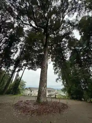 熊野神社(宮崎県)