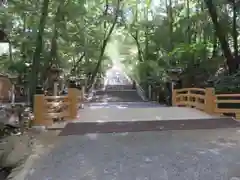 大神神社の自然