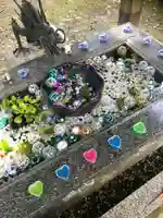 正一位 若草稲荷神社の手水舎