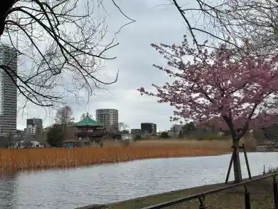 寛永寺不忍池弁天堂の{uncategorized: "未分類", other: "その他", undefined: "問題あり", building: "その他建物", grave: "お墓", sacred_gate: "鳥居", guardian: "狛犬", statue: "像", buddha: "仏像", history: "歴史", nature: "自然", garden: "庭園", animal: "動物", pagoda: "塔", temizu: "手水舎", mountain_gate: "山門・神門", sanctuary: "本殿・本堂", subordinate: "末社・摂社", art: "芸術", scenery: "景色", jizo: "地蔵", ema: "絵馬", goshuin: "御朱印", omikuji: "おみくじ", items: "授与品その他", amulet: "お守り", goshuincho: "御朱印帳", eats: "食事", festival: "お祭り", votive_dance: "神楽", shichigosan: "七五三参", wedding: "結婚式", experience: "体験その他", initially: "初詣", around: "周辺", anti_infection: "感染症対策"}
