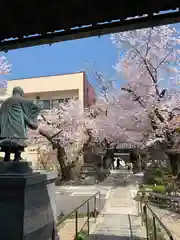 墨染寺（桜寺）(京都府)