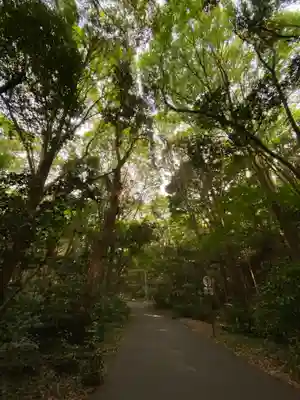 明治神宮(東京都)