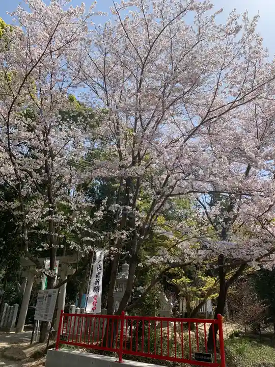 星田妙見宮の自然