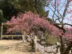 尾長天満宮の自然