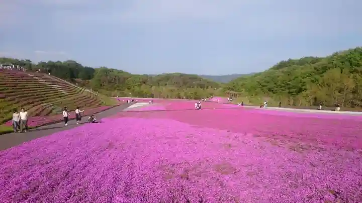 安住神社の景色