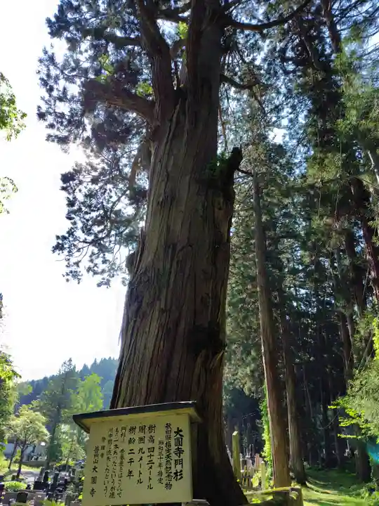 大圓寺(秋田県)