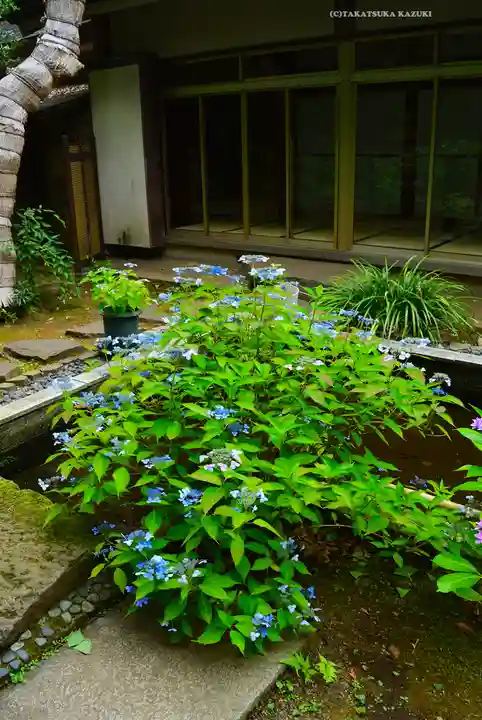 伊勢山皇大神宮(神奈川県)
