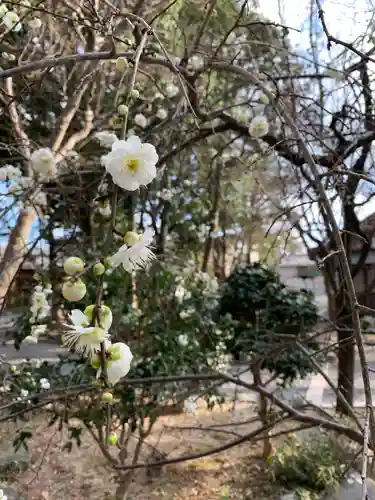 建部大社の自然