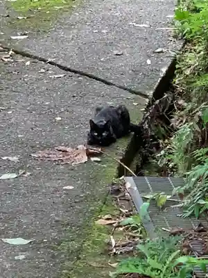 諏訪神社の動物