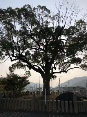 神戸神社のその他建物