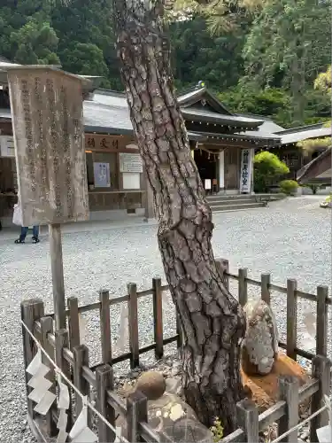 小國神社(静岡県)