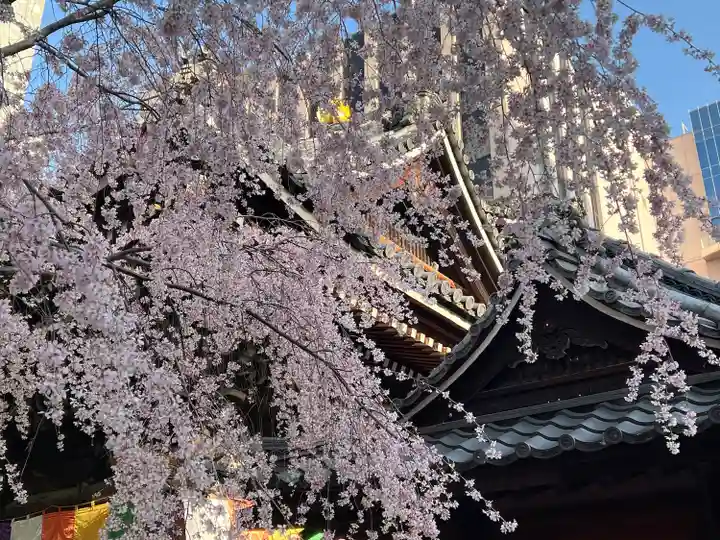 頂法寺(六角堂)(京都府)