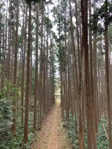 大山祇神社のその他建物