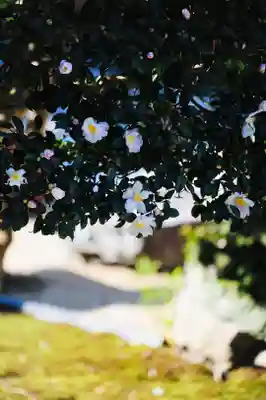 浄土寺(兵庫県)