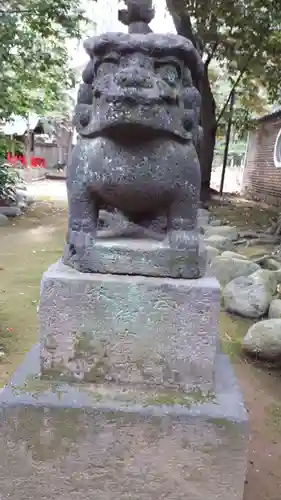 赤坂氷川神社の狛犬