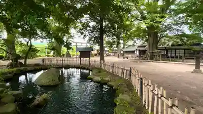 白鳥神社(長野県)