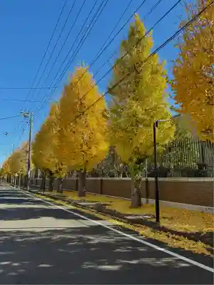 弁天神社(神奈川県)